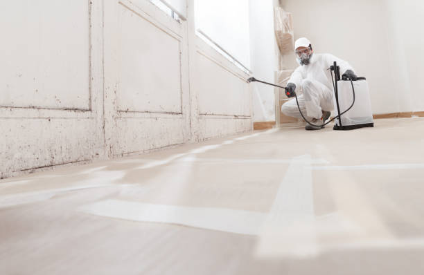 24/7 Emergency Mold Remediation experts in Forest Park, GA